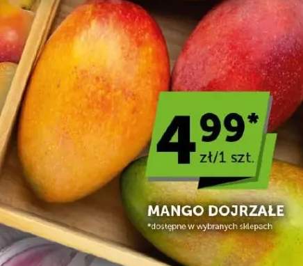 Mango dojrzałe