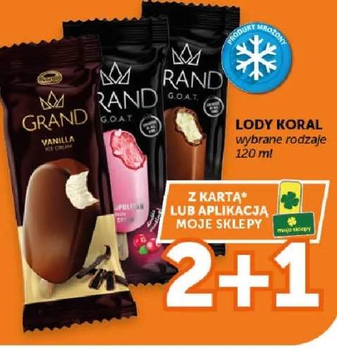 Lody Koral wybrane rodzaje