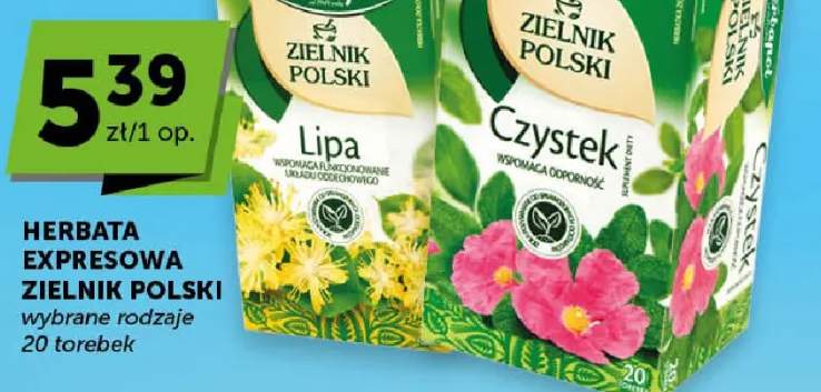 Herbata ekspresowa Zielnik Polski wybrane rodzaje