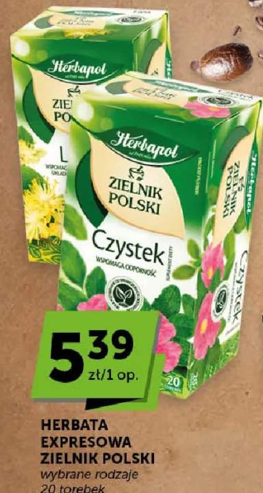 Herbata ekspresowa zielnik polski czystek