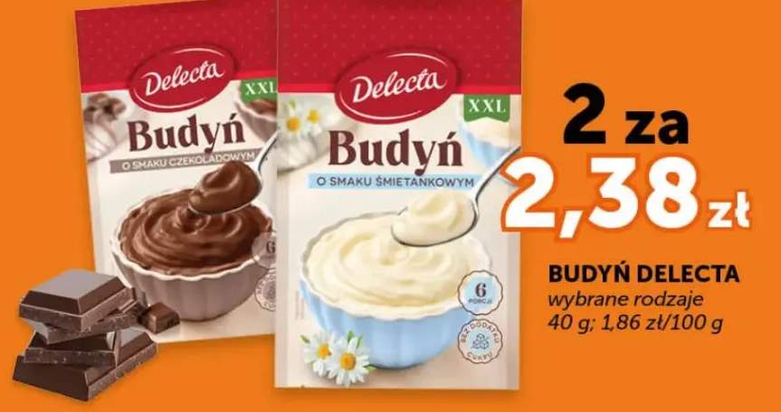 Budyń Delecta wybrane rodzaje