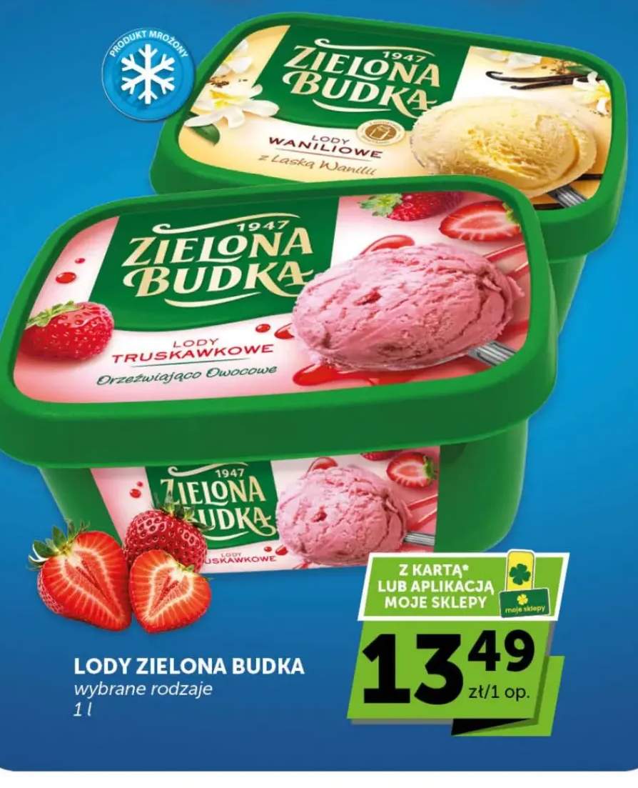 Lody Zielona Budka wybrane rodzaje