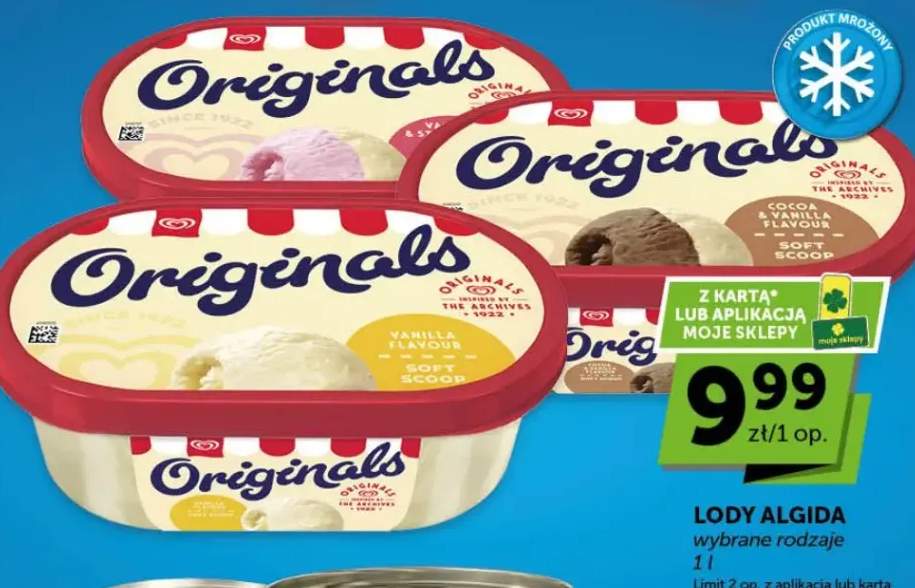 Lody wybrane rodzaje