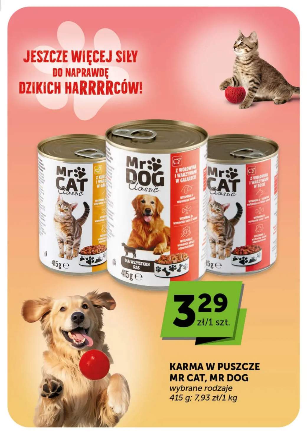 Gazetka – strona 21