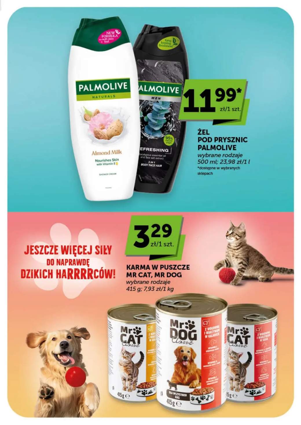 Gazetka – strona 31